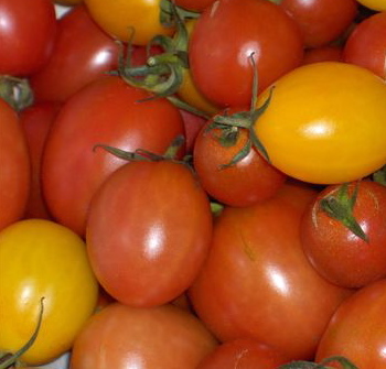 tomate cerise