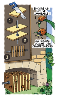 nichoir à coccinelle
