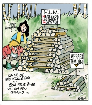 un abris pour hérisson