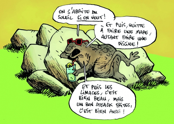 abris pour crapaud