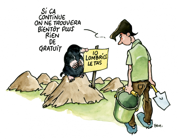 terre de taupe