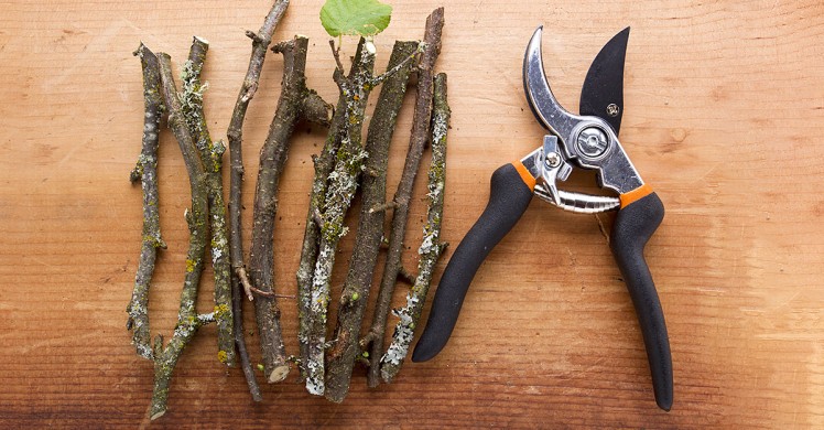 Fabriquer un cache pot en branchages 