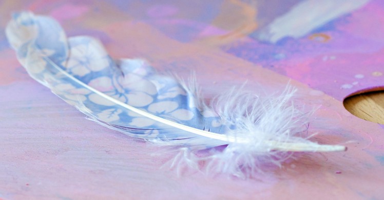 Décorer des plumes d'oiseaux