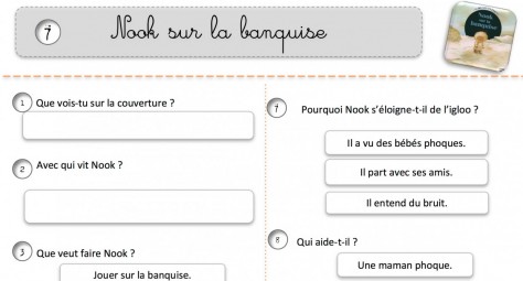 nook sur la banquise